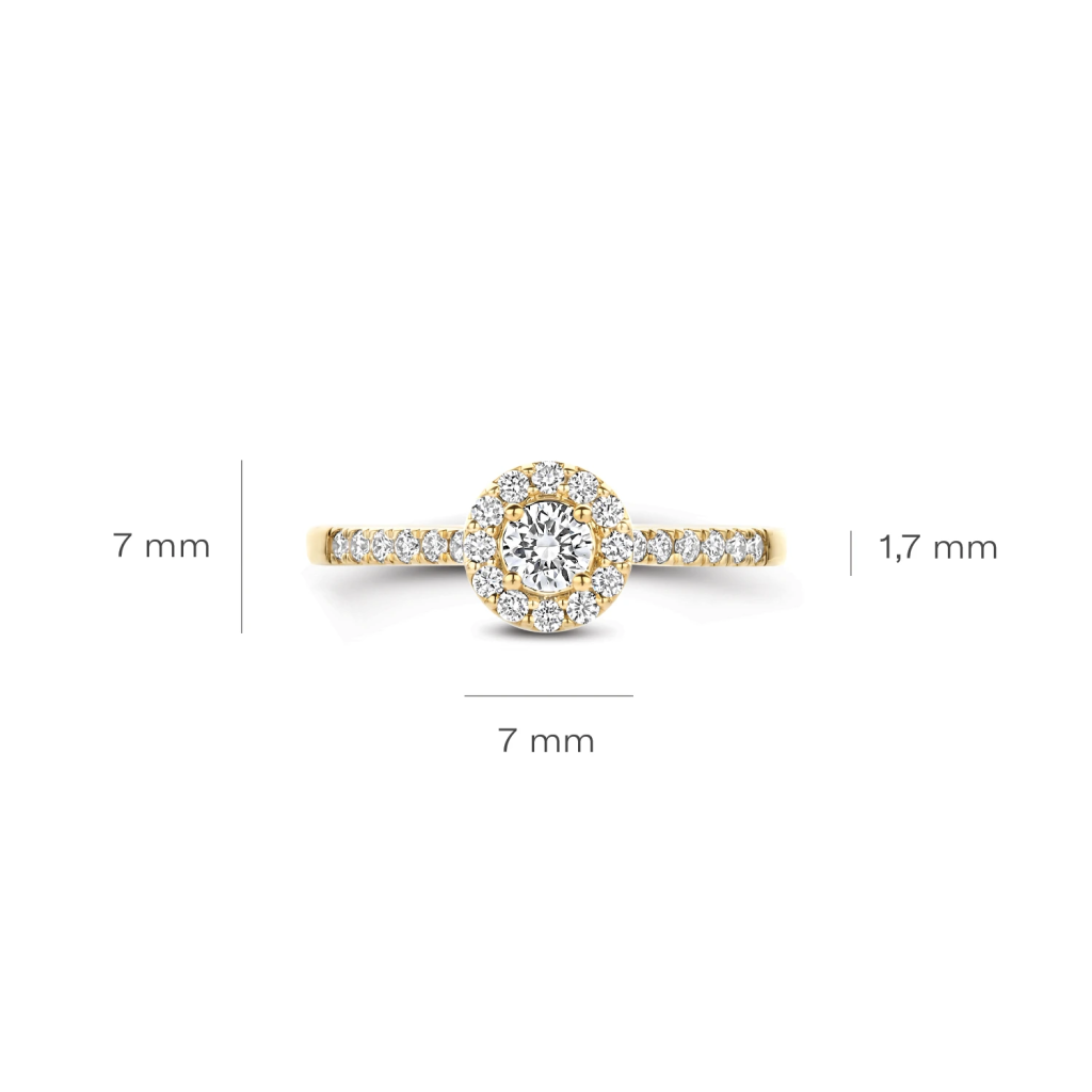 Blush Lab Diamonds Ring LG1058Y &ndash; Geelgoud (14k) met Lab grown Diamant