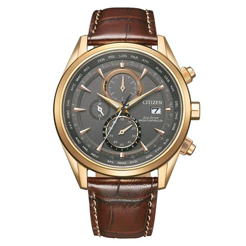 Citizen leren band