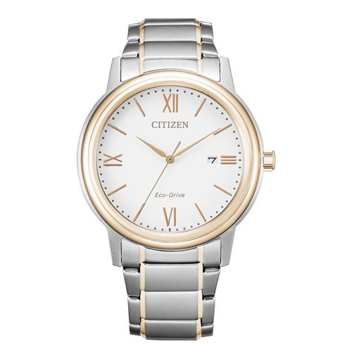 Citizen stalen band