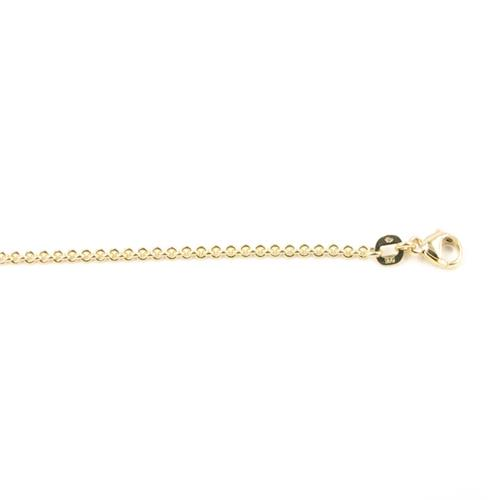 Gouden collier
