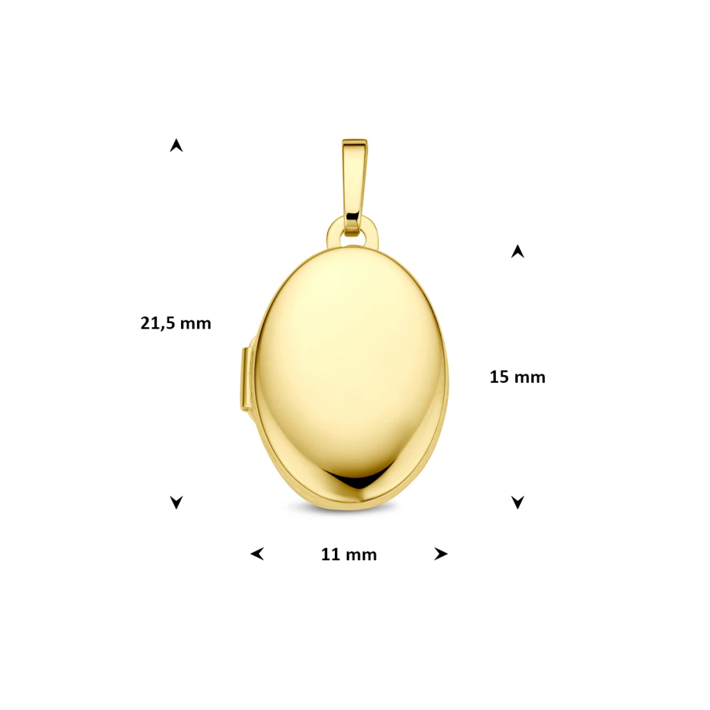 Gouden medaillon
